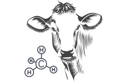 Presentation Of New Agricultural Emissions Pricing Scheme – RECORDING