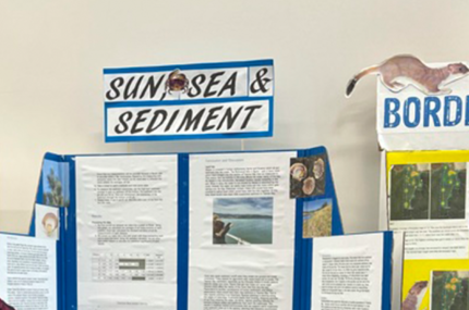 Sun Sea And Sediment Scoops Climate Challenge Award At Cawthron Sci Tech Expo