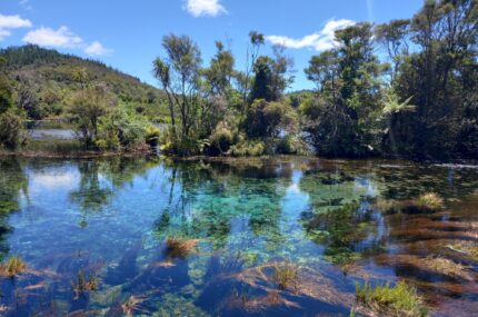 Protect Te Waikoropupū